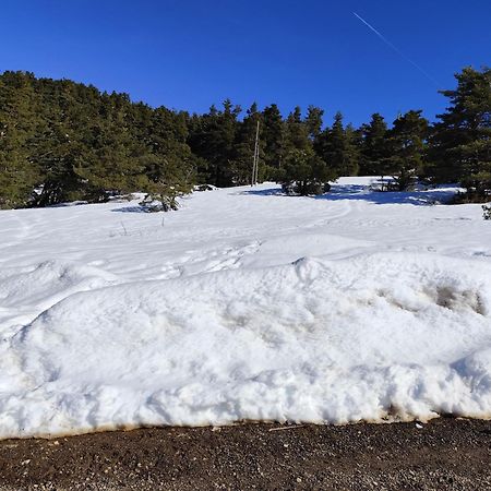 Appartement Greoliere Les Neiges Avec Exterieur Greolieres Zewnętrze zdjęcie